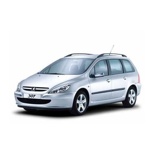 Peugeot 307 kombi 2002-2008 lyžiny